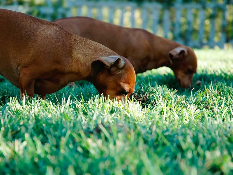 sudoku puzzle game screenshot 3